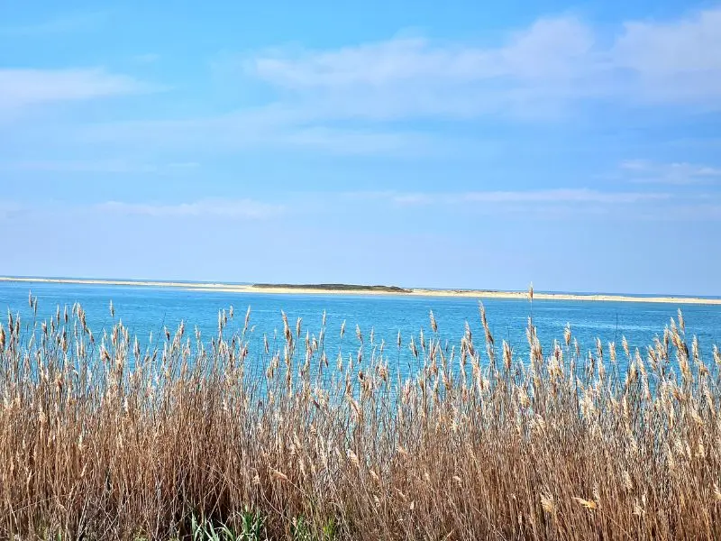 Bassin d'Arcachon