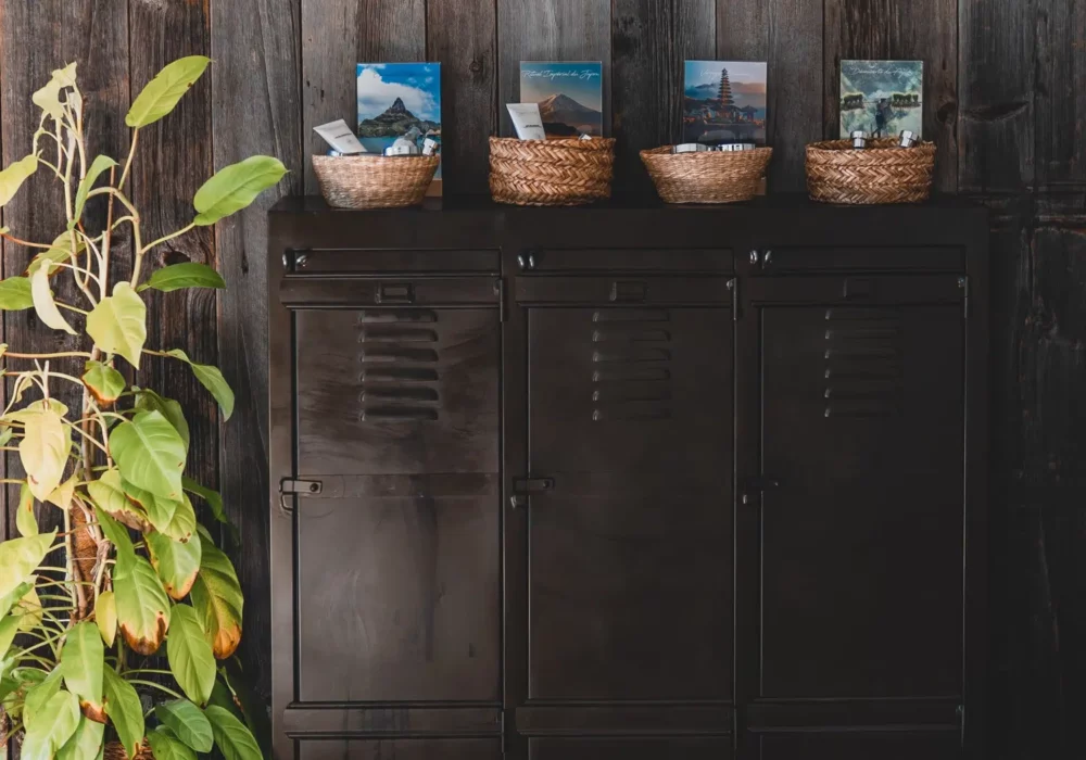 Photo Origine SPA Photo Origine SPA